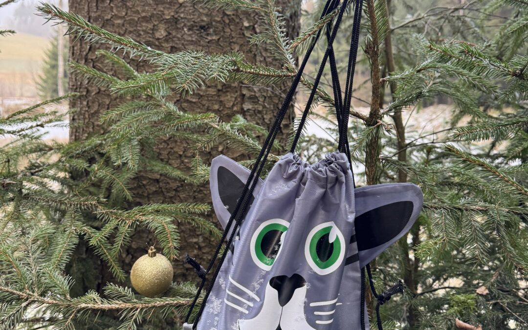 29.12.2025 – CRAZY #mitlauferlebnis „Weihnachts-Restla-Run“