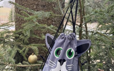 29.12.2025 – CRAZY #mitlauferlebnis „Weihnachts-Restla-Run“